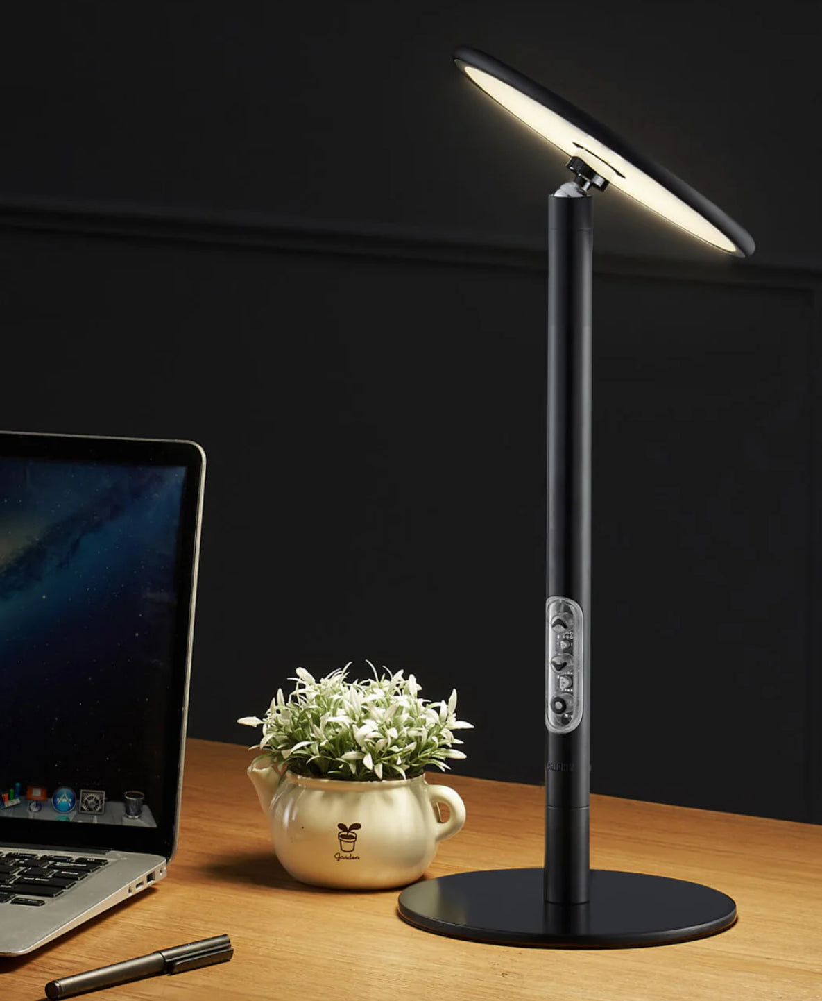Chiphy Lighting - Everglow Spaces