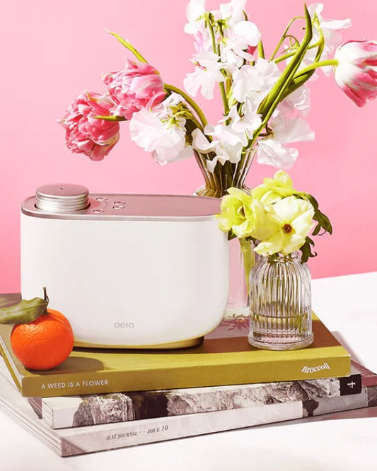 aeraforhome - Evergrow Spaces
